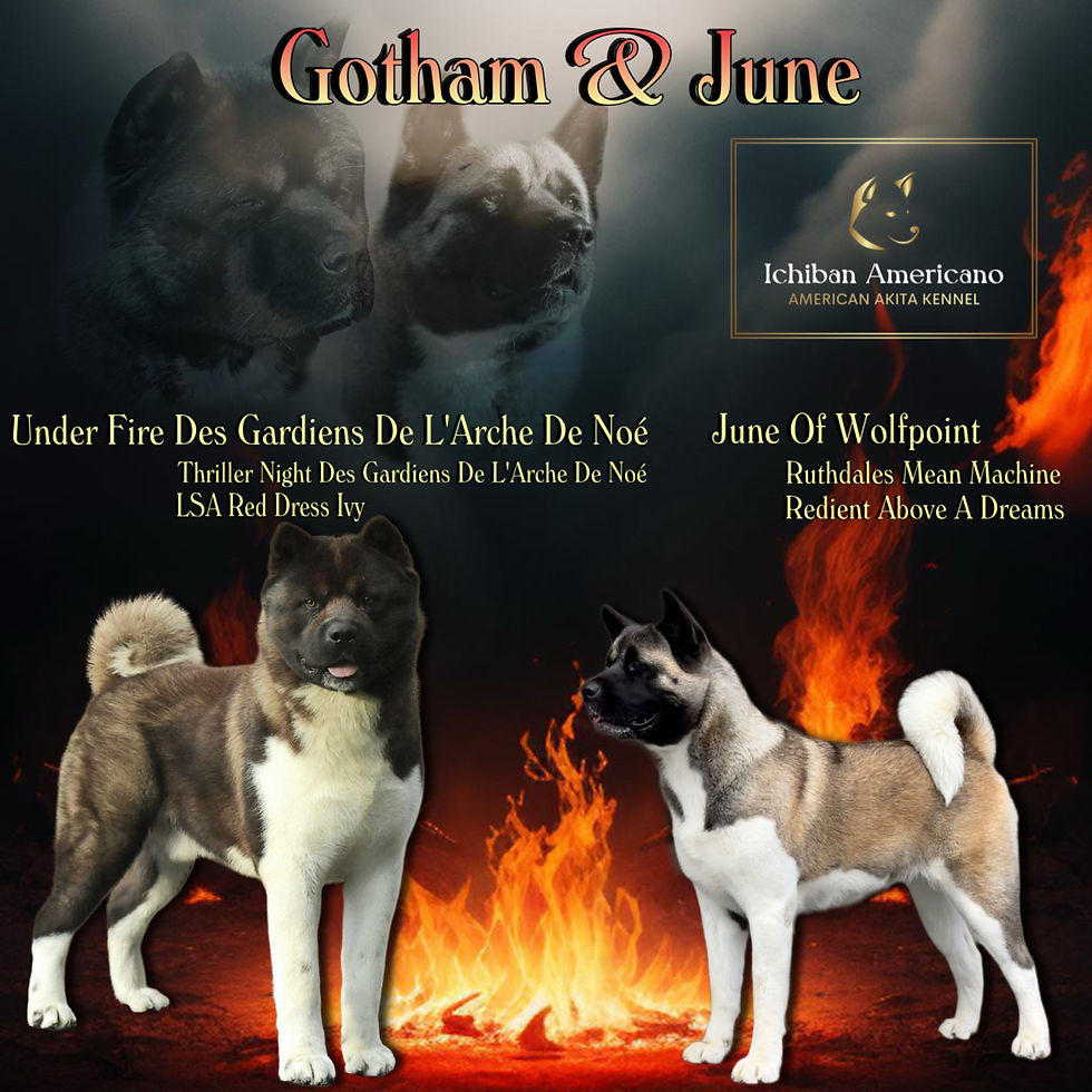 0C728EF5-81CE-4B48-B0D5-C5A1E172F9E0