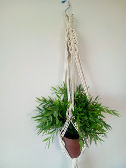 Plant Hanger