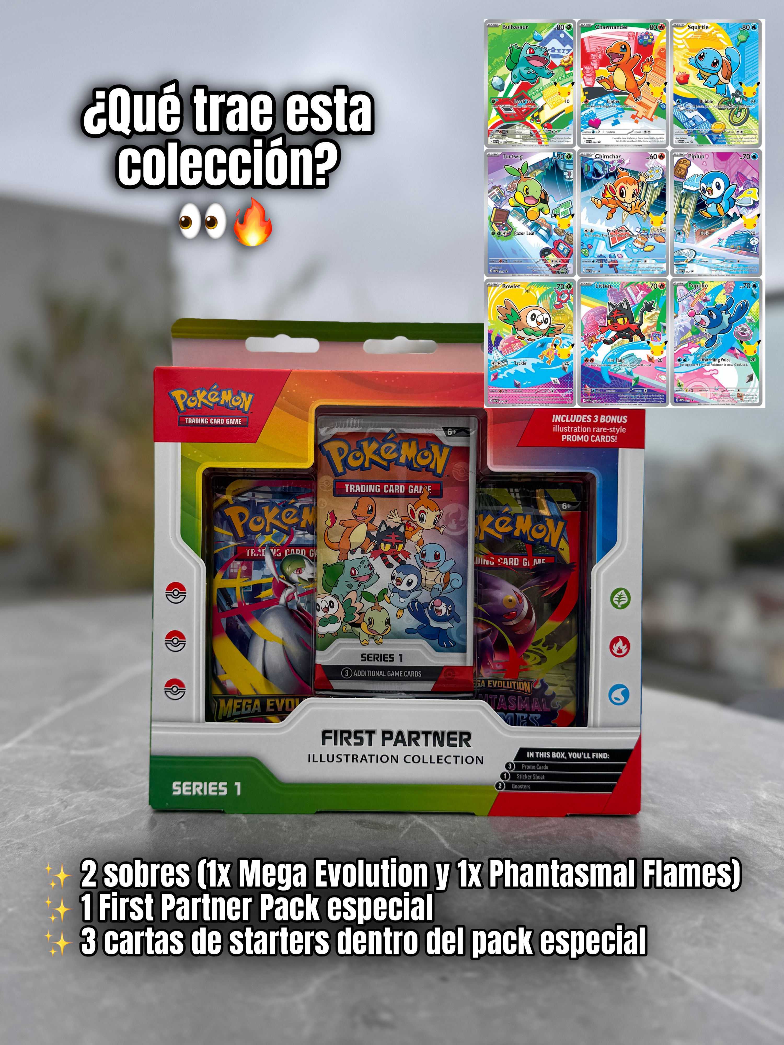 FIRST PARTNER ILLUSTRATION COLLECTION