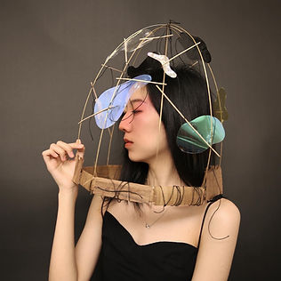 Self reflective cage