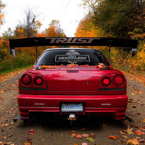 Senseless Rear Window Banner | Senseless Co.