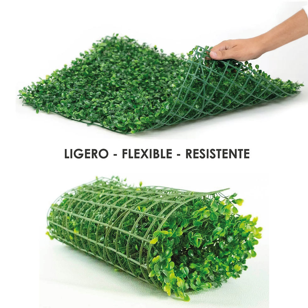 Miniatura: muro pasto sintetico