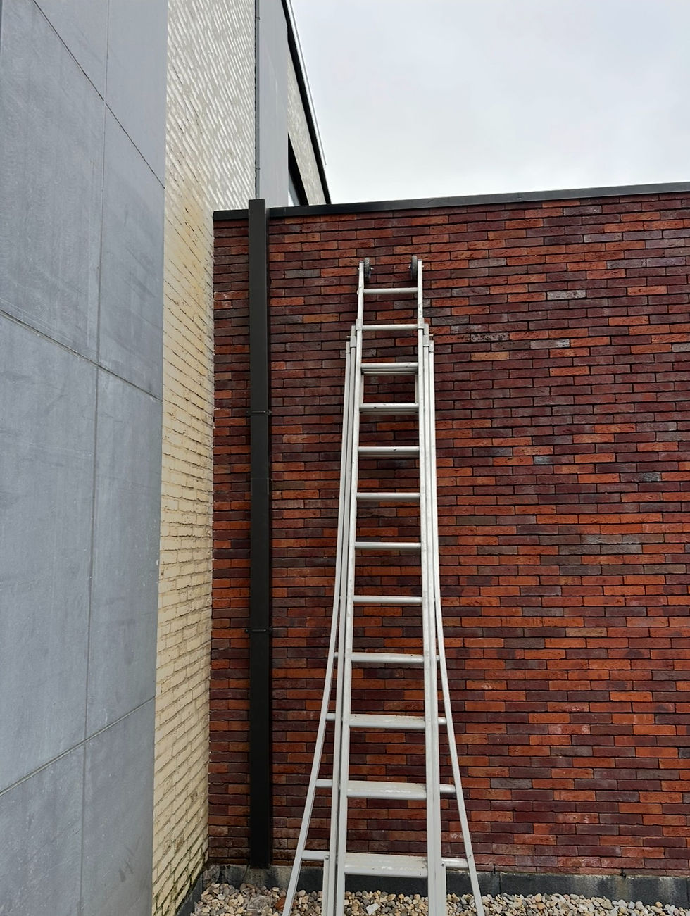 IMG_3532 (1)_edited.jpg