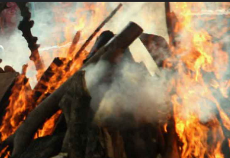 Honouring Death - A Gentle Exploration of Life’s Inevitable Passage