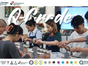 Q Grader Day 4 at Espresso Academic in Bangkok: green coffee and sensory evaluation.