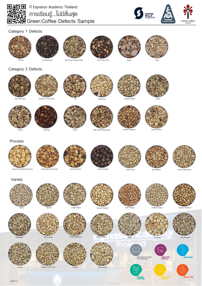 Green Coffee Defects preview