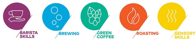 CSA-coffee-skills-program.-CSA-coffee-co