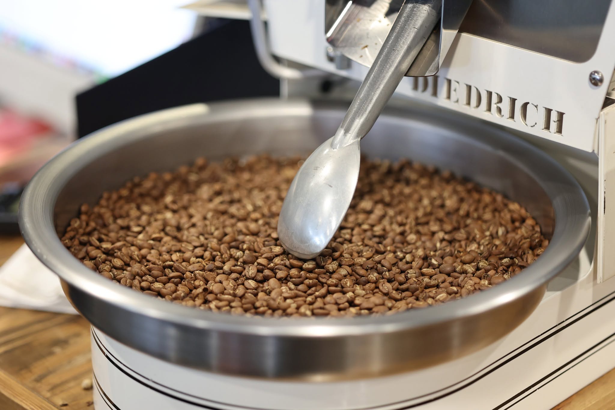 Freshly roasted coffee in the Diedrich IR1 cooling tray at Espresso Academic