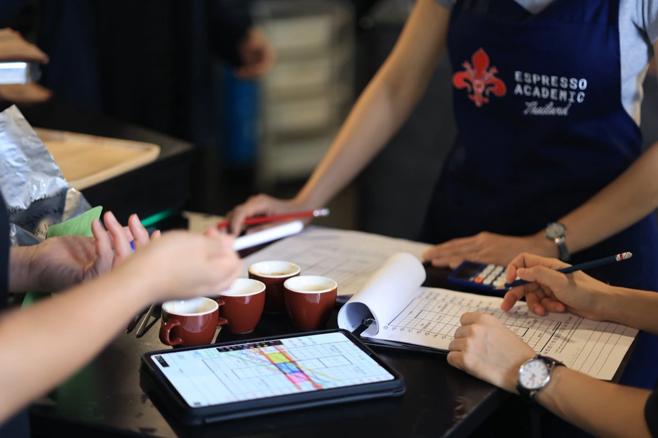Students comparing coffee, written notes and roast profiles