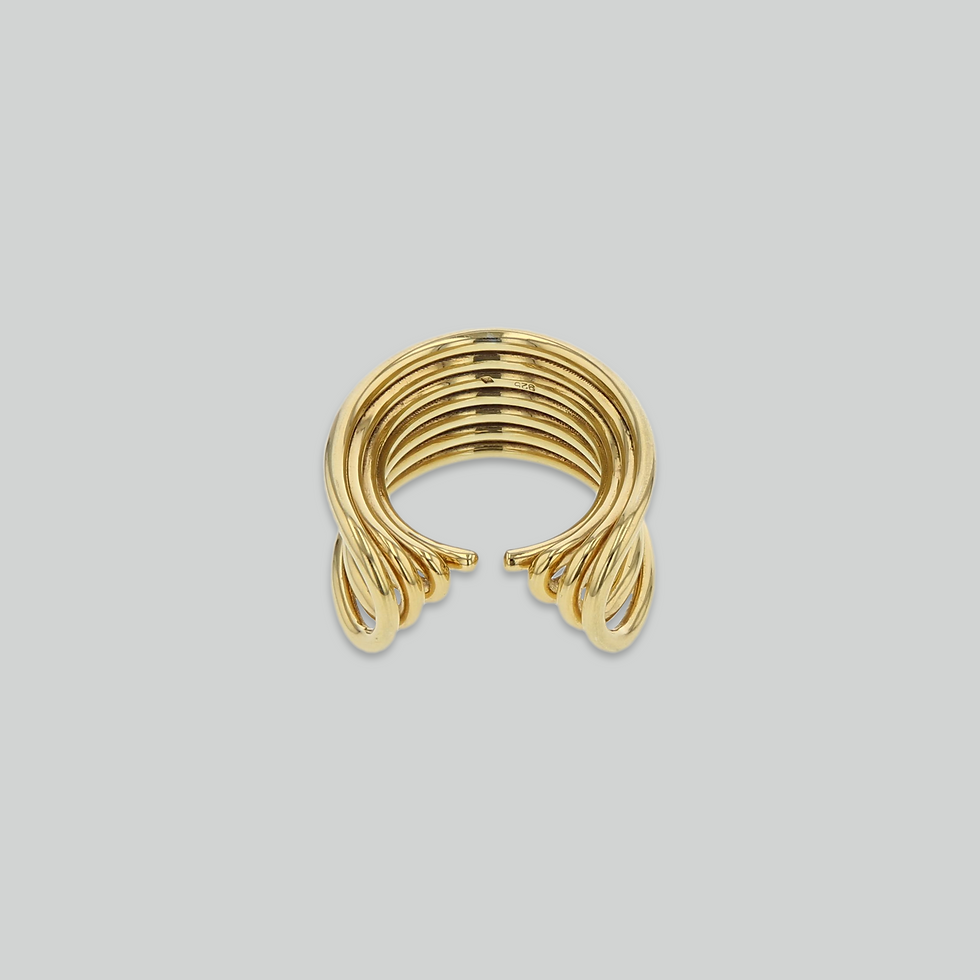 Miniatura: Anillo OBLONG