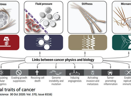 Dr. J. James Frost: Translational Cancer Therapy Course at the Johns Hopkins School of Medicine