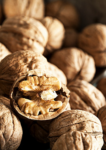 Nuts are small and compact, like this article