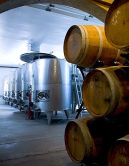 inside the winery