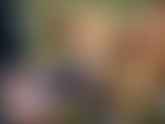 Top Dog Training Approaches to Try