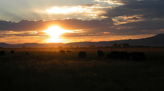 ScSEED promotes sustainable San Luis Valley Agriculture