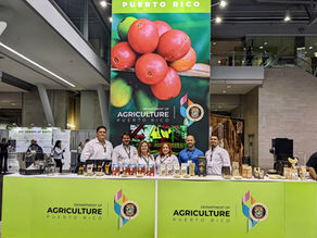 Caficultores de Puerto Rico representan a la Isla en el Specialty Coffee Expo
