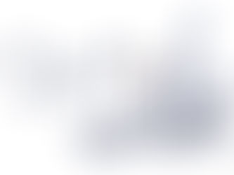 Mikey's Politics and Diversity Philosophy