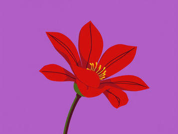 What Is Menstrual Cycle Awareness?