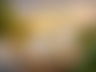 Why Dinnerware Made from Sugarcane is a Game-Changer