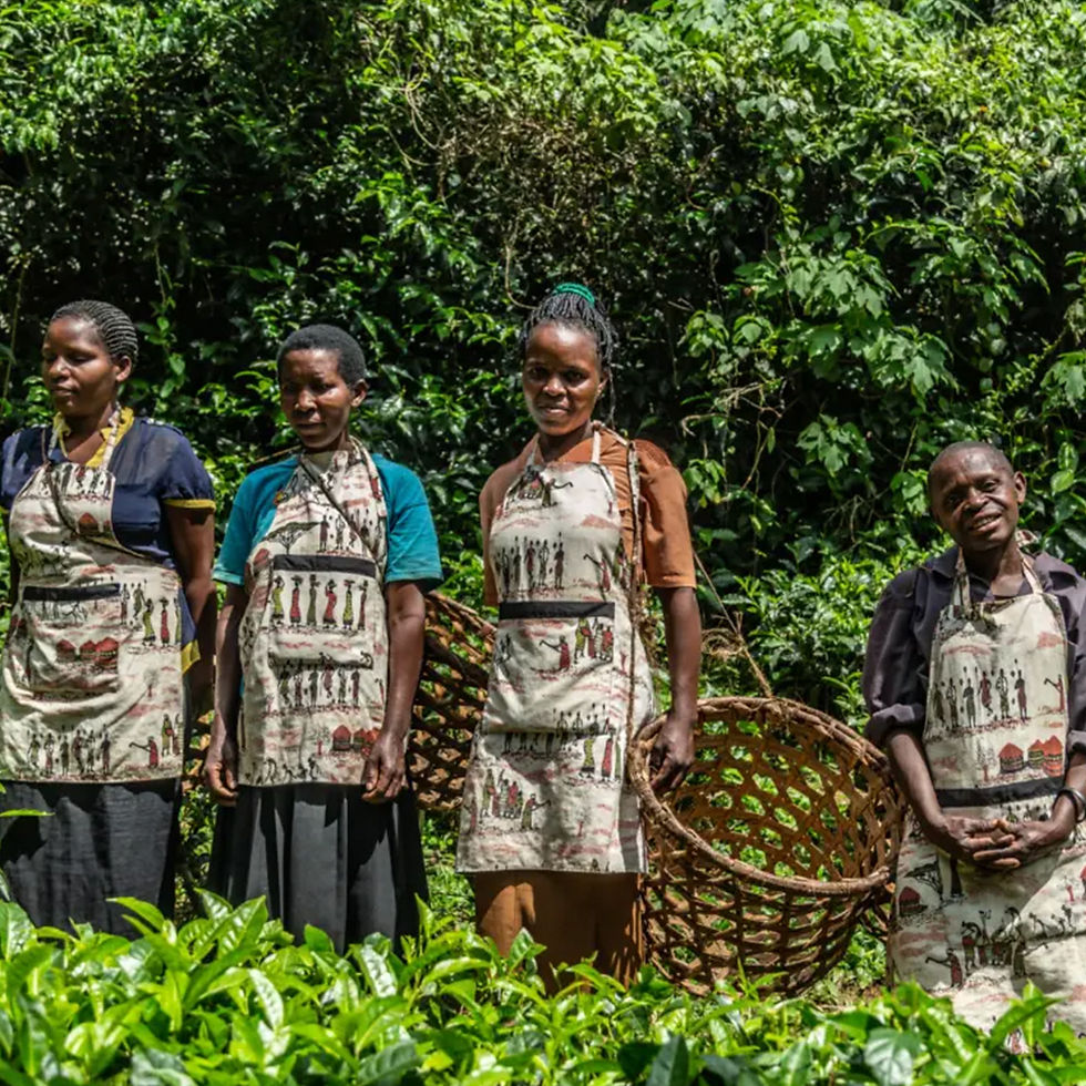 LUXURY AFRICAN SAFARI FOR SINGLES