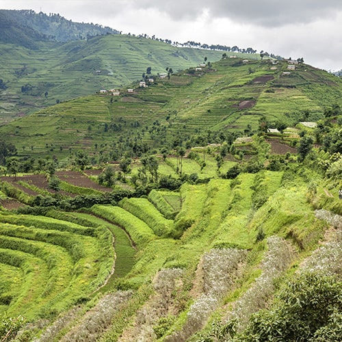 ALL INCLUSIVE SAFARI RWANDA