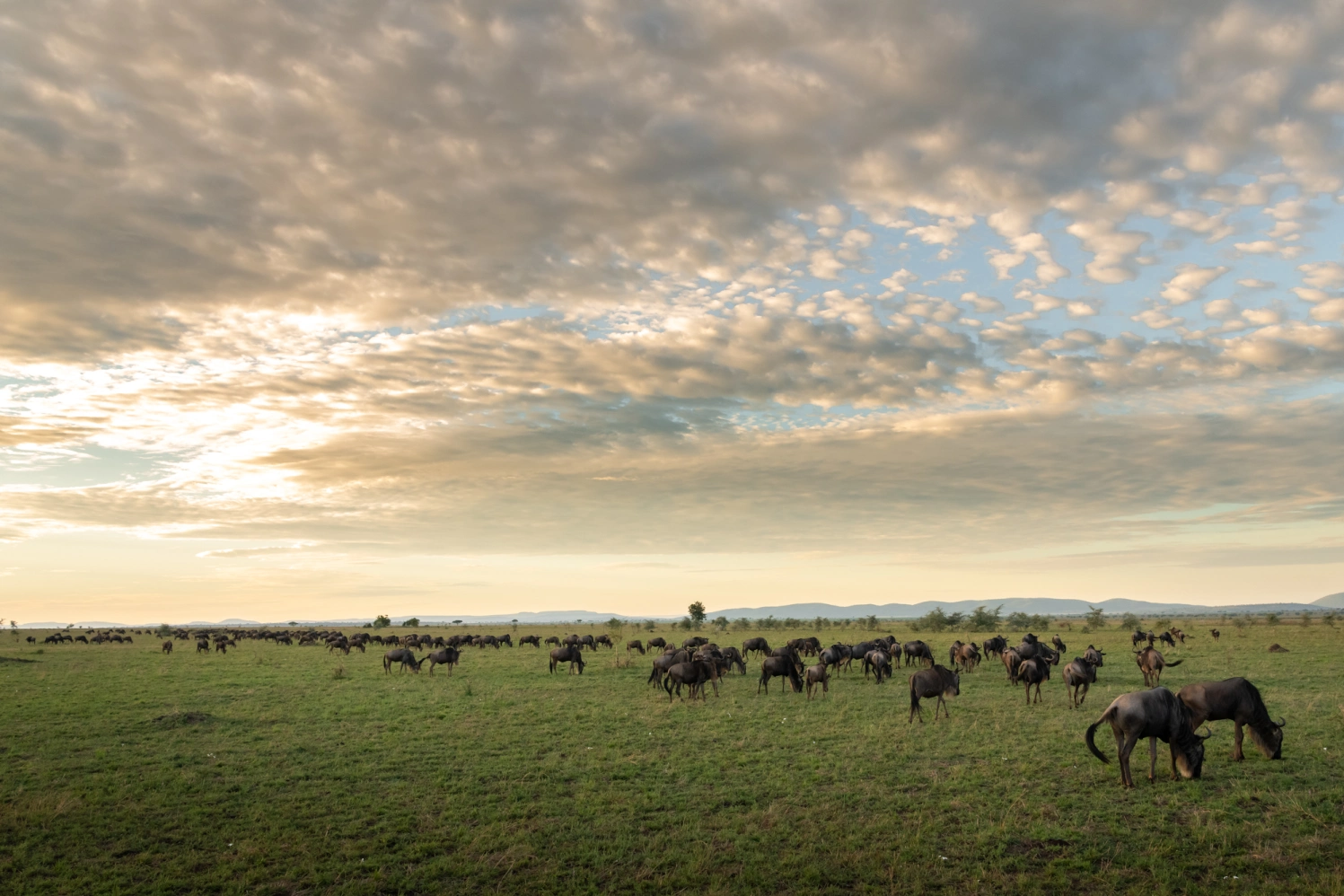 7-day-tanzania-safari
