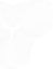 spine big to small.png