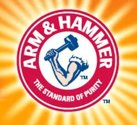 ARM-AND-HAMMER.webp