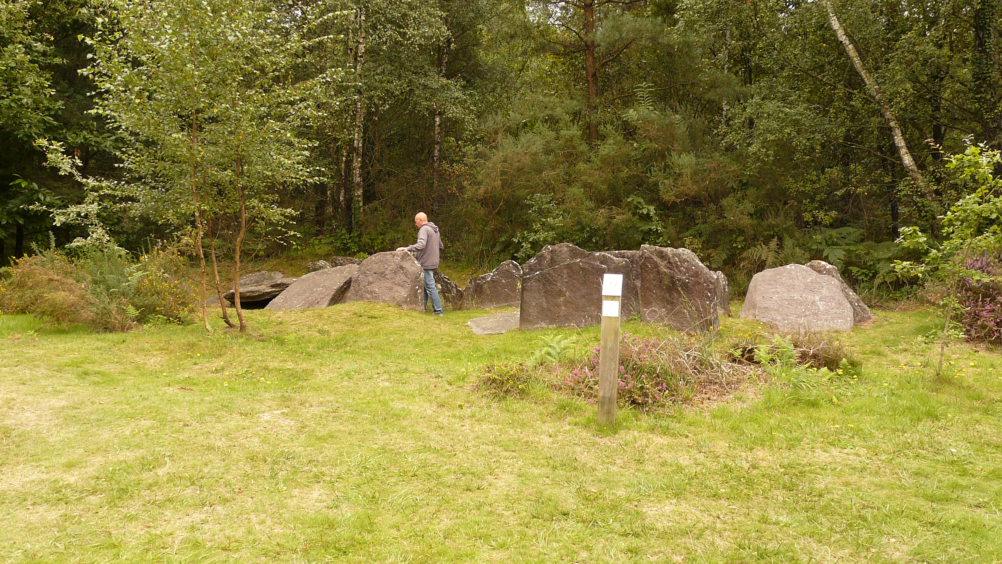 Allée couverte