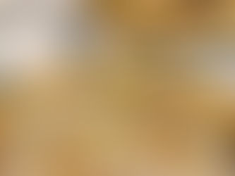 Red Lentil Green Garlic Hummus  Toasted Pine Nuts~ Vegan