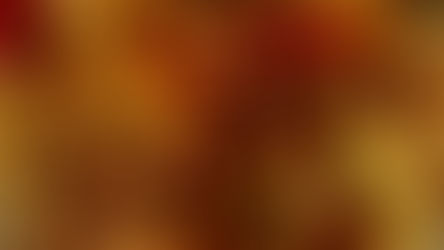 Rustic Apple Pie ~ Paleo