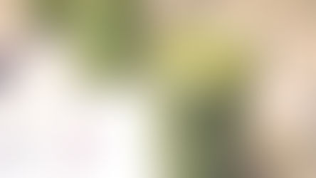 Superfood Green smoothie ~ Vegan