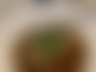 Mung Bean Loaf Porcini Broth 