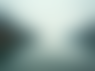 The Power of Mindfulness in Everyday Life