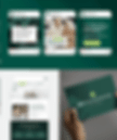 full brand and website design in kelowna