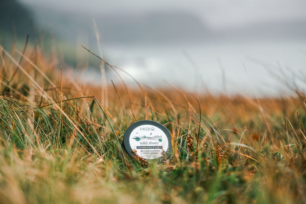 Miniatura: Wild shore, anti-age zklidňující krém pro muže, 50 ml