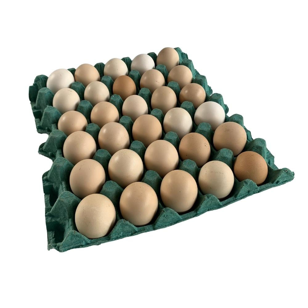 huevos de gallina criolla (1 cajilla)