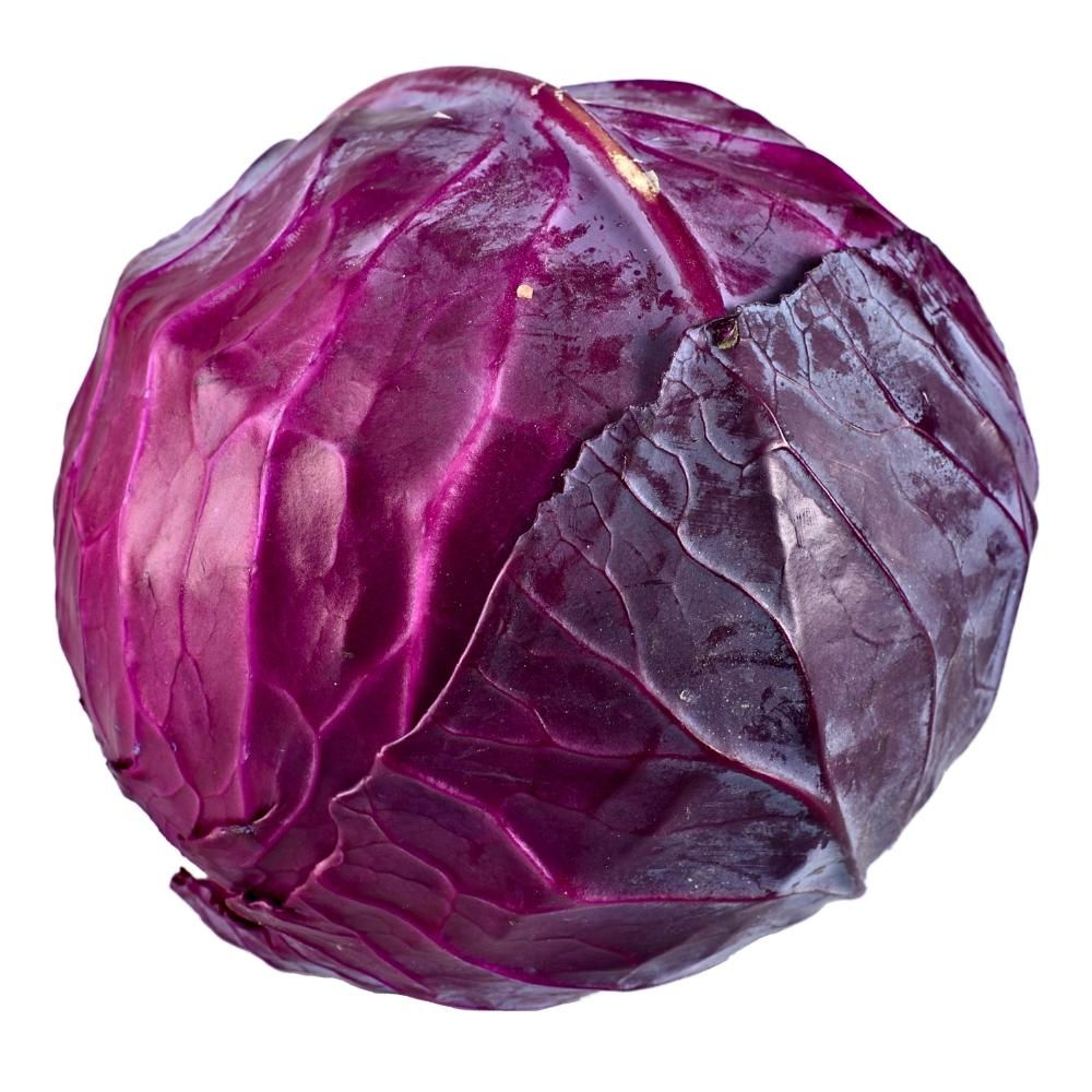 repollo morado