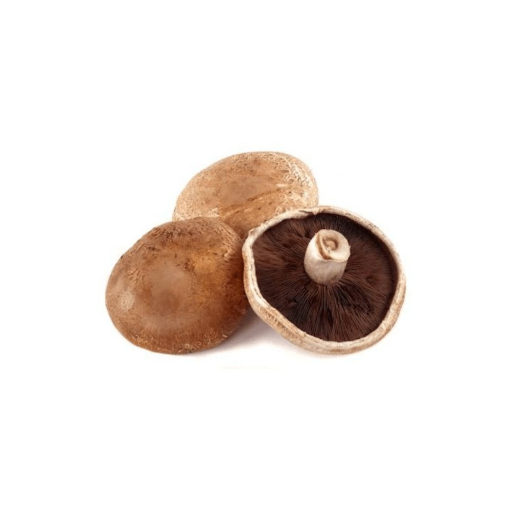 hongo portobello (250 gramos)