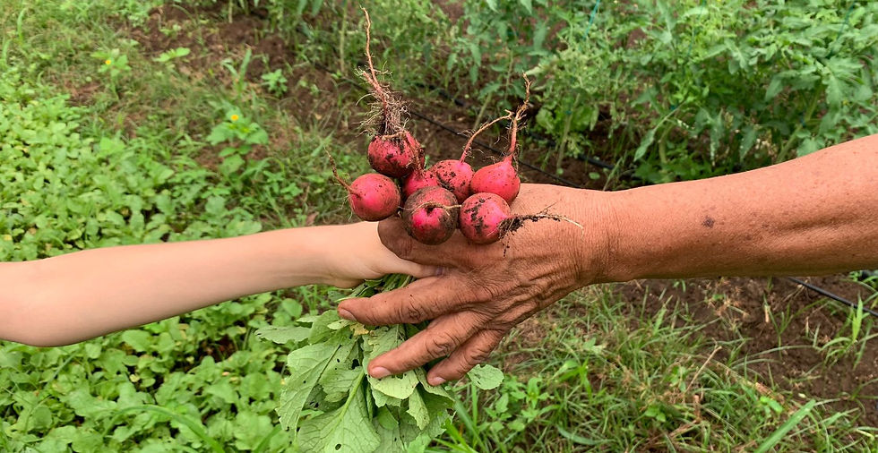 1er Encuentro Red Casa Mombo