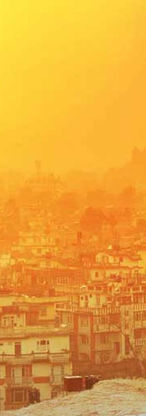 Cover-email-cropped 1.jpg