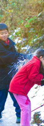 Trekking 07-4274.jpg