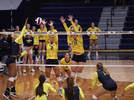 UM-D Volleyball Falls to Siena Heights and Indiana Tech, Pulls Through Against UNOH