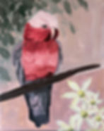 Rosie Galah - Paint & Sip