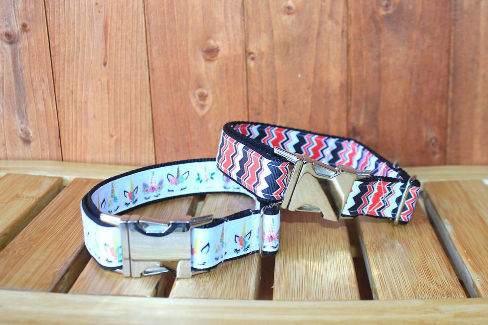 Metal Snap Buckle Collars