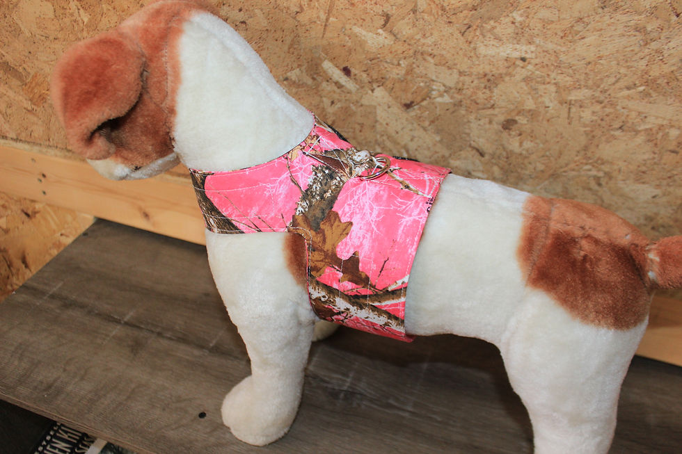 Thumbnail: Fabric Harnesses for small Dogs & Cats