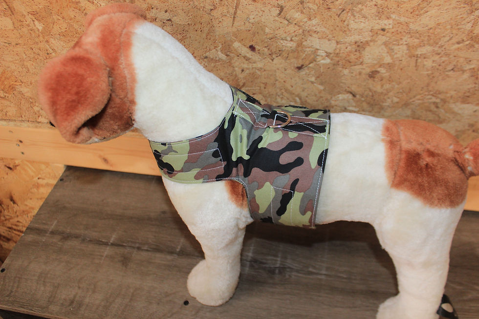 Thumbnail: Fabric Harnesses for small Dogs & Cats