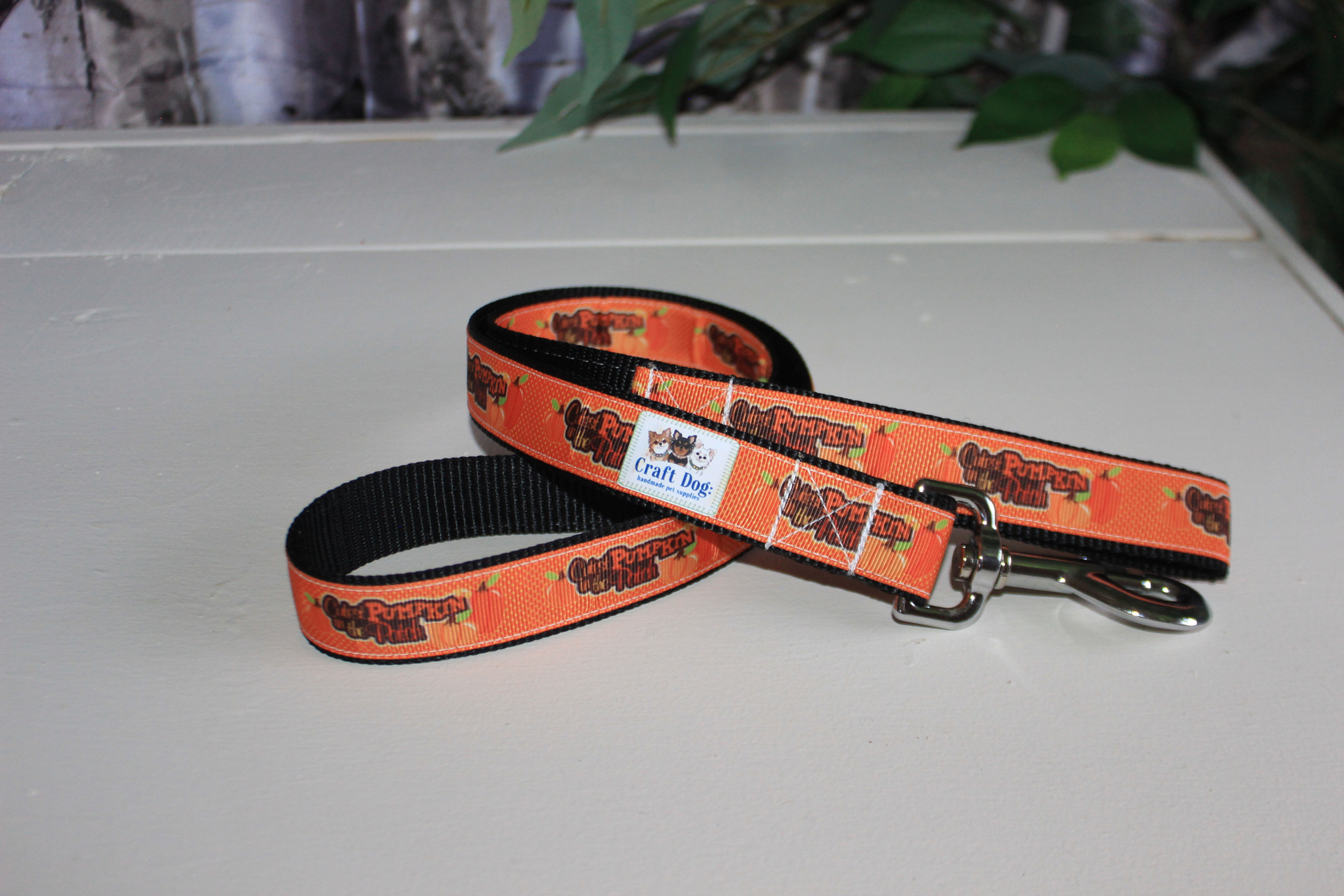 1" wide - SNAP HOOK Leash --PUMPKIN PATCH