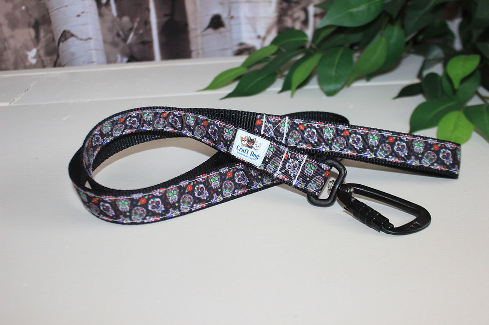 Thumbnail: Nylon Dog Leashes with Locking Carabiner Snap Hooks
