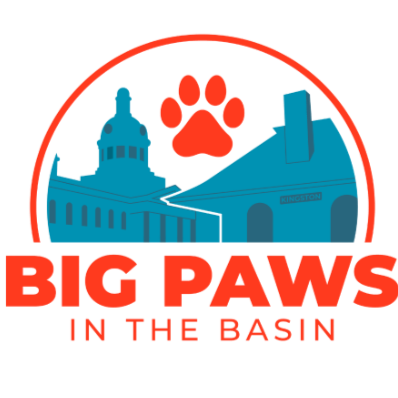 Kingston Big Paws